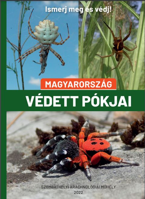 Magyarország védett pókjai